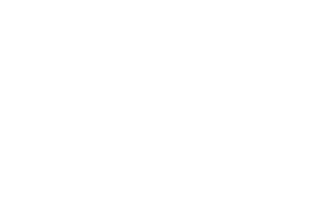 macro-300x200.png