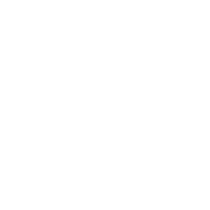 macro-300x300.png